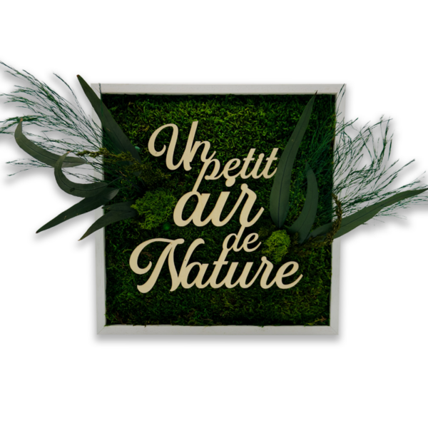 Tableau végétal Un petit air de Nature