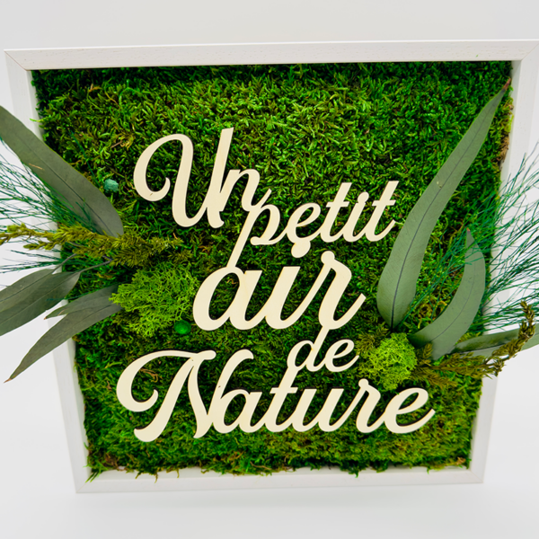 Tableau végétal Un petit air de Nature – Image 2